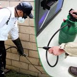 Pest Control Services Market