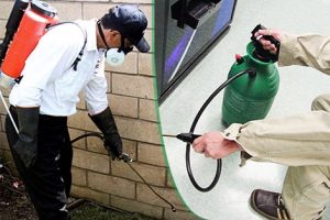 Pest Control Services Market