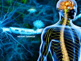 Nerve Regeneration and Repair Market