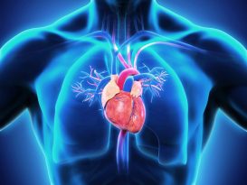 Pulmonary Arterial Hypertension (PAH) Market