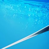 Wave and Tidal Energy Market